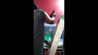 Transfer from 75gal to 220gal aquarium... Part 1