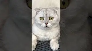 Соня устроила настоящий погром!😳