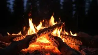 Relaxing Campfire at Night &ndash; Nature&rsquo;s Sleep Aid