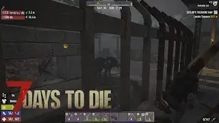 7DTD #21 | Increasing our Defenses [Day 36-37]