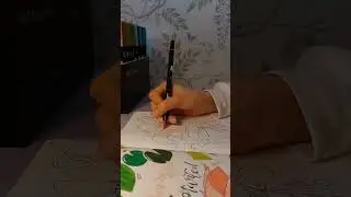 Bullet Journal March pt.2✨️#timelapse #bulletjournal #drawing #march