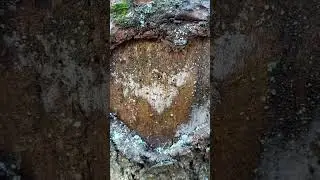 Сероглазая птица Бенну над поверхностью хаоса приземлились и нарушила изначальную первобытную тишину