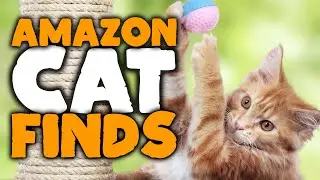 Top 15 Amazon Cat Finds │ Cat Toys, Treats, & Cat Care Items