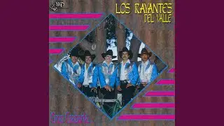Mis Fracasos