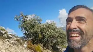 Una Navidad diferente