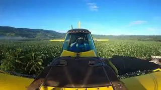 Aerial spray at ABC Cateel, Davao Oriental