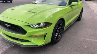 2020 Ford Mustang Ecoboost Coupe