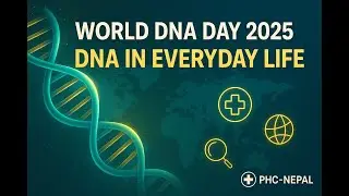 World DNA Day 2025: DNA in Everyday Life