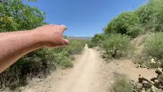 Horse poop trail