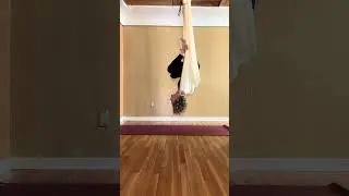 Aerial Inversion ✨