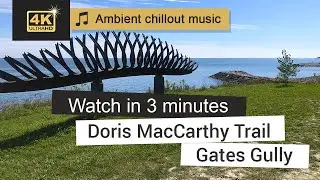 Hiking Adventurer exploring Doris MacCarthy Trail, Gates Gully - Best Trails to Hike in Canada 🎵