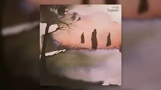 B OPTIMIST - Jūrā gāju naudas gūt