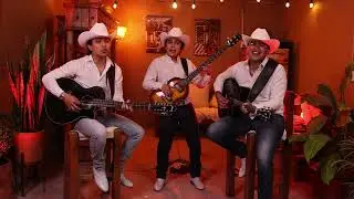 Te Necesito - Los Amparo's