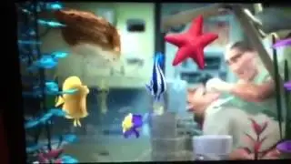 Nemo in the fish tank from Nemo Clip