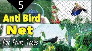Best Anti Bird Net For Fruit Trees, Heavy Duty Bird Netting