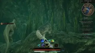 Dynasty tp glitch