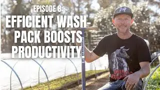 Increase Efficiency and Cut Costs: Wash-Pack Workflow Tips for Farmers | (TPMF E8)