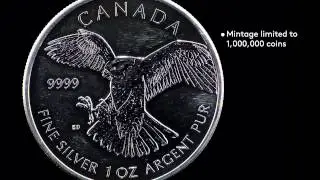 Bullion 1-ounce 99.99% Pure Silver 