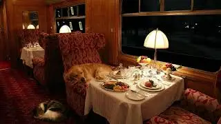 Cozy Vintage Train Ride on a Quiet Winter Night ❄️ Soft Rumble & Snow Ambience