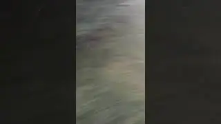 Dramatic footage of me saving my basketball