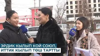 ЭРДИК КЫЛЫП КОЙ СОЮП, ИТТИК КЫЛЫП ТӨШ ТАРТТЫ.