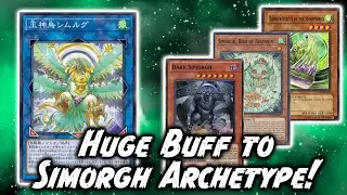 HOW GOOD ARE SIMORGHS AFTER SIMORGH, BIRD OF KINGS?!?! [yugioh discussion]