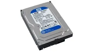 Жесткий диск Western Digital Caviar Blue WD10EZEX 1 тб