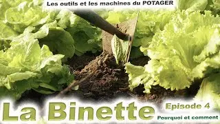 La Binette - Comment l'utiliser et pourquoi biner au potager ?