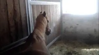 Gekämpft, gehofft & doch verloren .. !