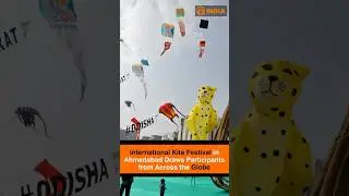International Kite Festival in Ahmedabad Draws Participants from Across the Globe