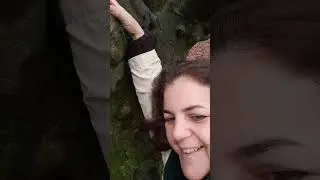 Barna Wood Floresta nacional em Galway Irlanda