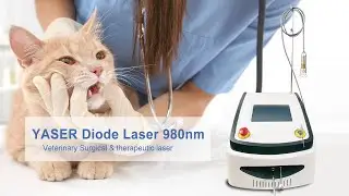 Class 4 vet laser device
