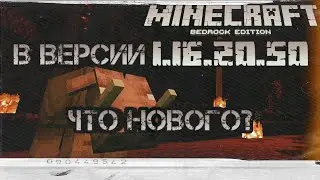 Обзор обновления майнкрафт 1.16.20