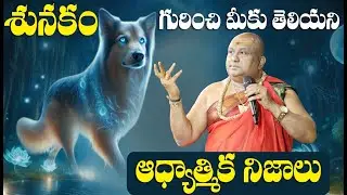 The Divine Power of Dogs: Hidden Spiritual Truths from Hindu Scriptures | Siddhaguru