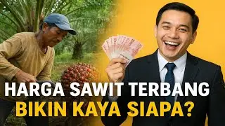HARGA SAWIT NAIK! Bos Sawit Tertawa - Apa Petaninya Bahagia?