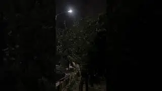 Enjoying the rain and storm in Noida.