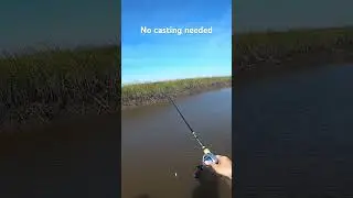 No casting needed for this one. #redfish #shimano #kayakfishing
