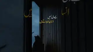 #khasara  #rahatfatehalikhan #song #coversong #music #pakistanidrama #arydigital
