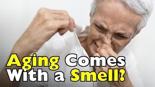 Why Do Old People Have a Distinct Smell? [ID0613]