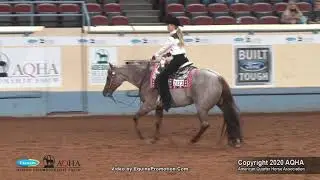 2020 AQHA Amateur Western Riding