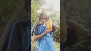 papaya 7/16/2024 @KaAmazingKaSipagOfficial