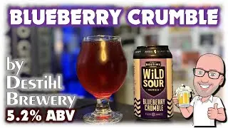 Blueberry Crumble by Destihl Brewery (pie crust not included!)