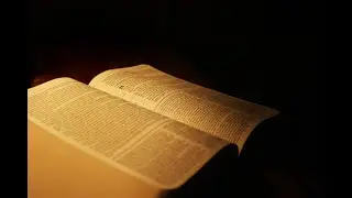 Kingdom Light, Live broadcast Sunday, 11 Jan 2026