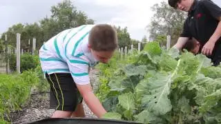 Freedom & Virtue Institute | Self Reliance Program
