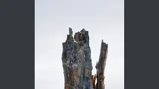 Infinite Rumble