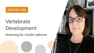 Vertebrate Development featuring Dr. Carole LaBonne | The Stem Cell Podcast