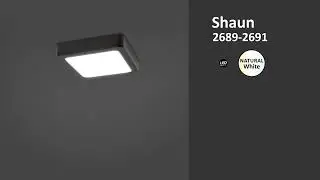 RB 2690 Plaf&oacute;n Cuadrado LED 17W 4000K Negro Estilo Minimalista IP20 SHAUN Rabalux