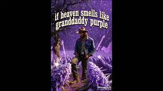 if heaven smells like granddaddy purple