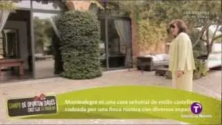Campo de oportunidades. Finca Montealegre