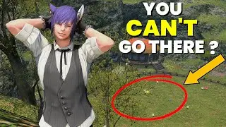 SquareEnix продолжает убирать эту потрясающую функцию из игры :( | FFXIV